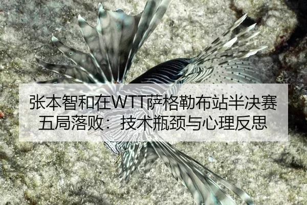 zhang-ben-zhi-he-zai-sa-ge-lei-bu-zhan-ban-jue-sai-wu-ju-luo-bai-ji-shu-ping-jing-yu-xin-li-fan-si-2-687.jpg